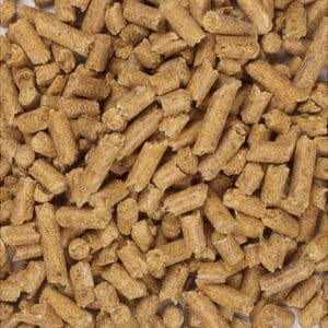 Buy wood pellets for litter