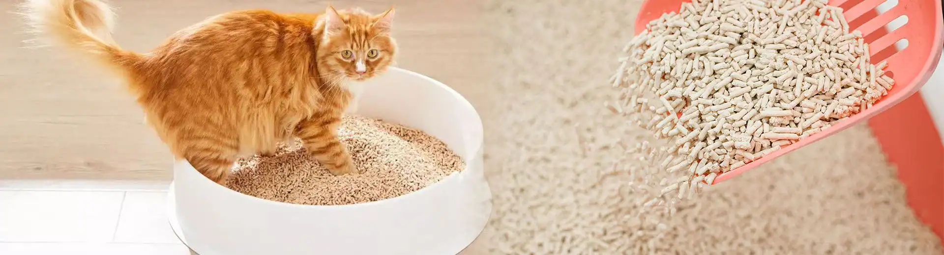 Wood Pellets for Cat Litter: A Clean, Dust-Free Alternative 1 Wood Pellets for Cat Litter