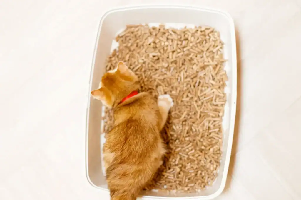 Wood Pellets for Cat Litter Wood Pellets for Cat Litter