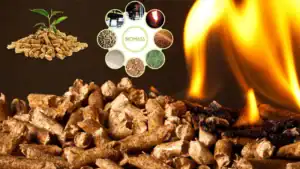 Wood Pellets for Sale: How to Choose Quality Pellets