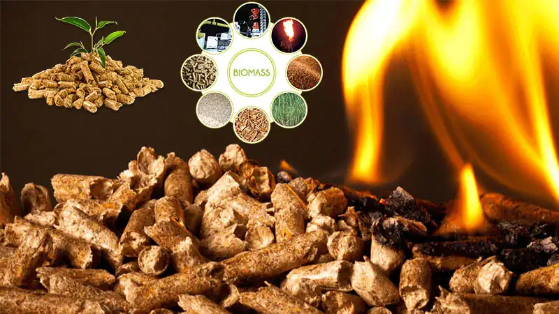 Wood Pellets for Sale Wood Pellets for Sale
