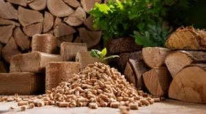 Where to Buy Wood Pellets in Europe: A Business Buyer’s Guide to ENplus A1 Grade A Fuel